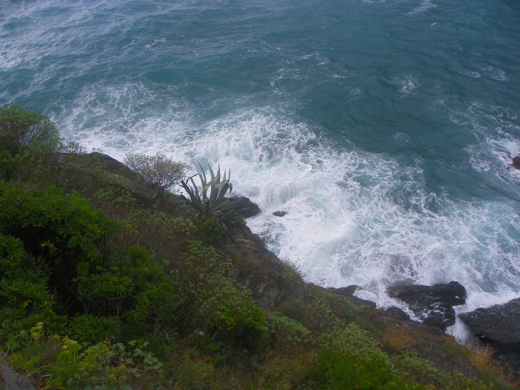 View down the cliff by csturgeo