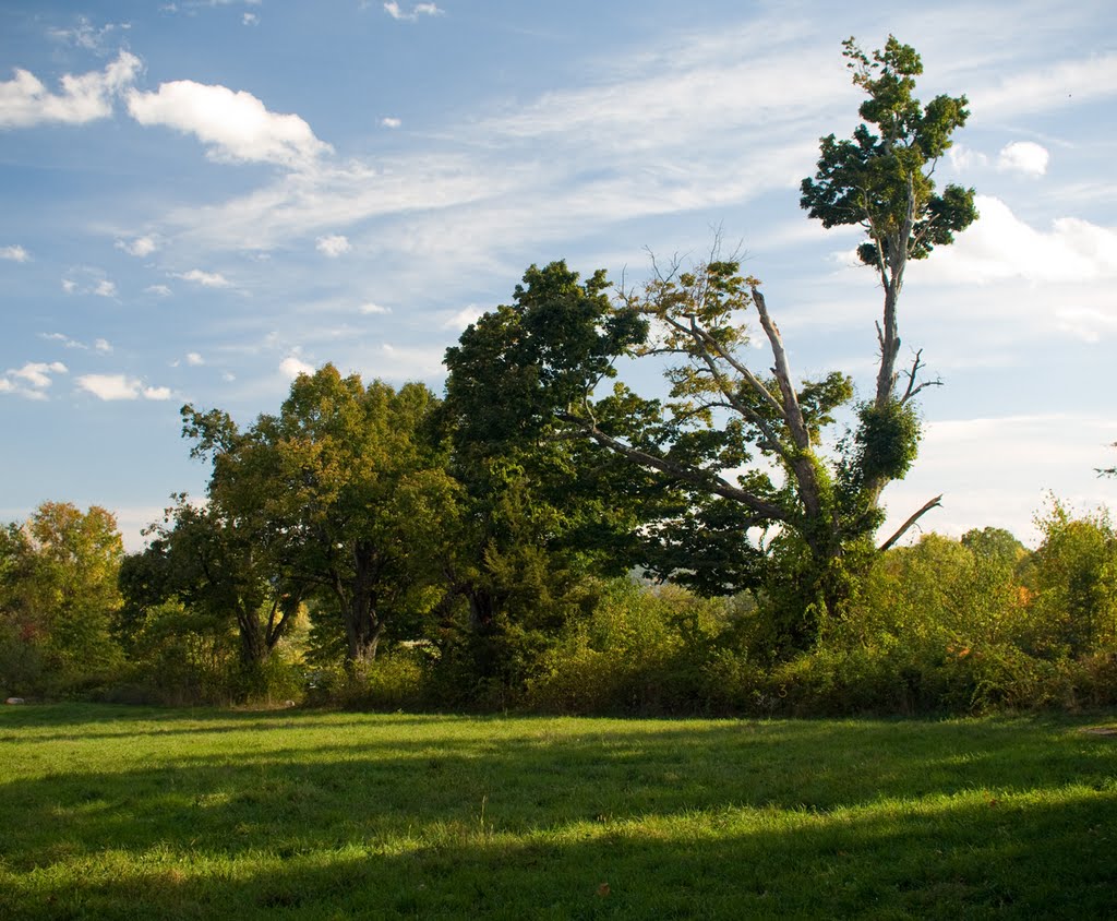 Community Gardens Park by Leon Malinofsky