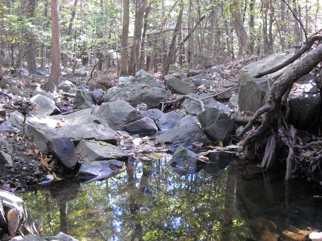 Rocky stream by jonathan mccorkle