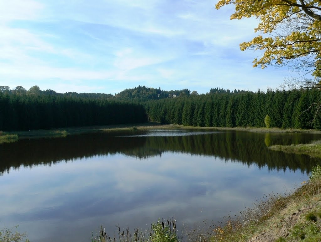 Stützengrün OT Hundsübel - eines der 4 Vorbecken der Talsperre Eibenstock (hier Rohrbach) by Thomas Eichler