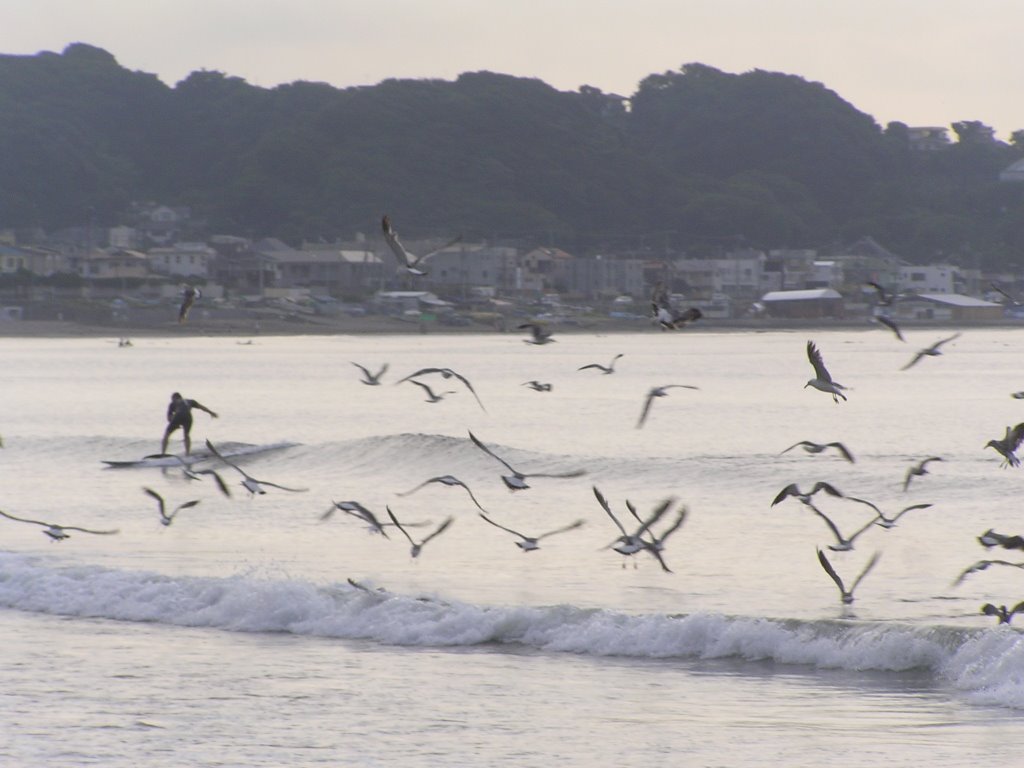 Yuigahama beach by Taka Nozaki