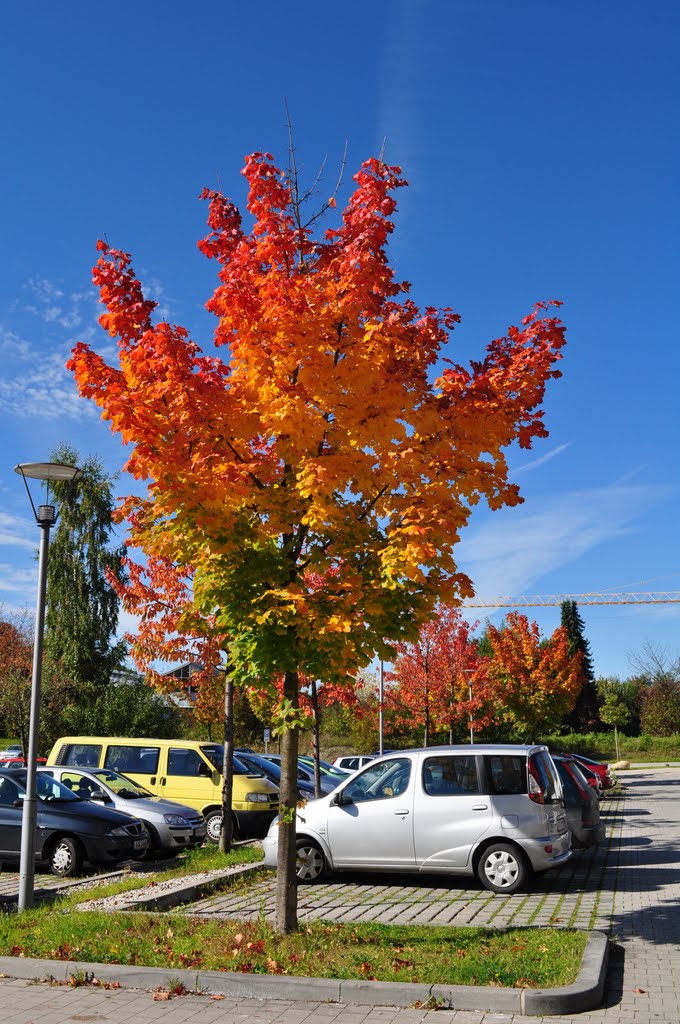 Herbstfarben by hawepoti