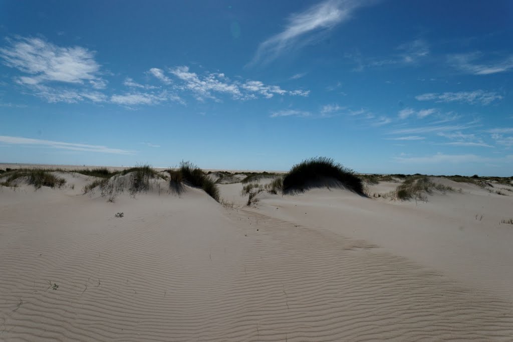 Texel - De Hors - View WSW by txllxt TxllxT