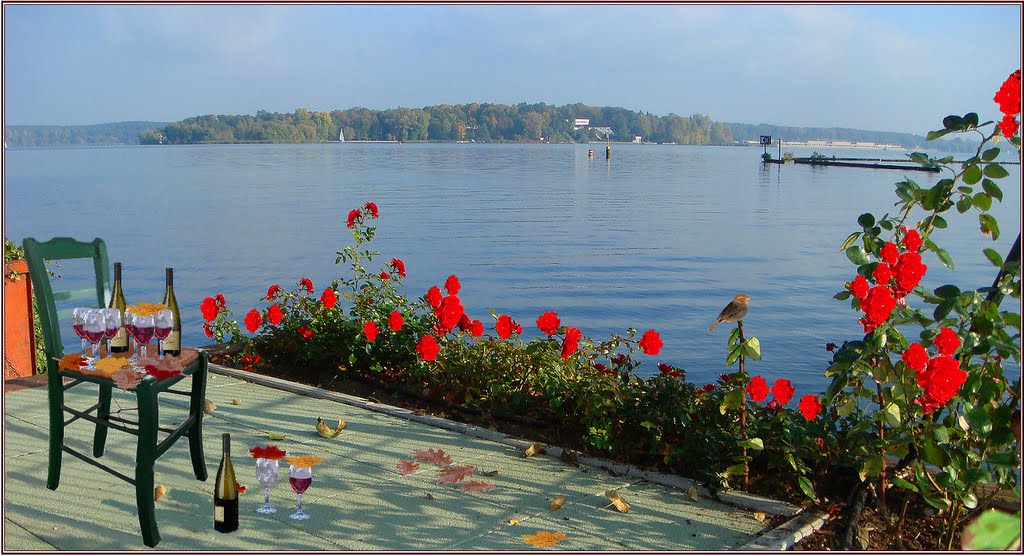 Blick von Kladow zur Insel Schwanenwerder und rechts das Strandbad Wannsee. Der Stuhl ist eine Fotomontage. by H. Hönow