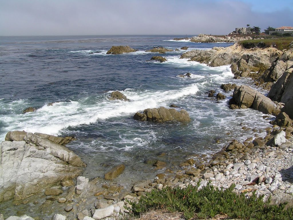 From Montery Bay Costal Trail by rwdw