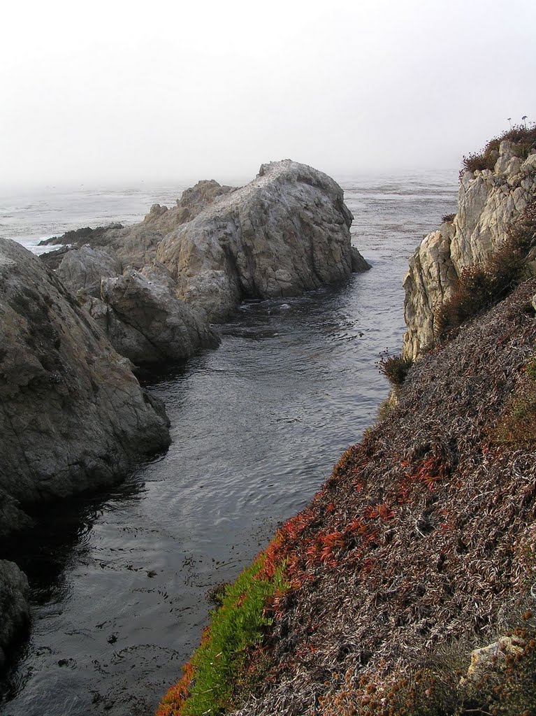 Big Sur, CA, USA by rwdw