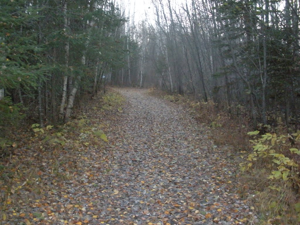 Sentier en automne by Martin Filion