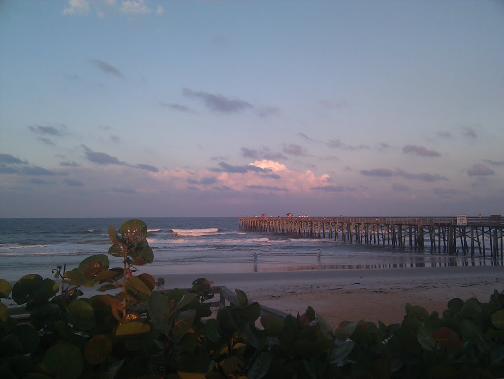 Flagler Beach Pier by betahammett