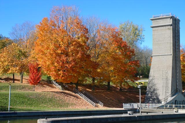 Autumn At The Liftlocks by Martin Halme