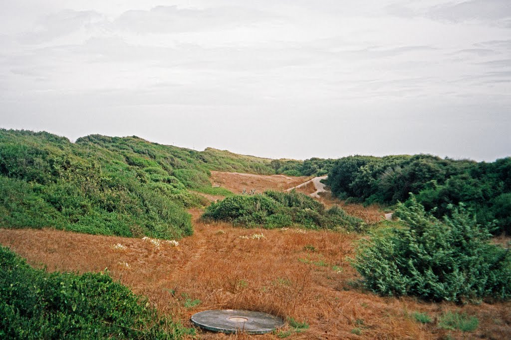 Ostia. 2010 by ludmila alpern