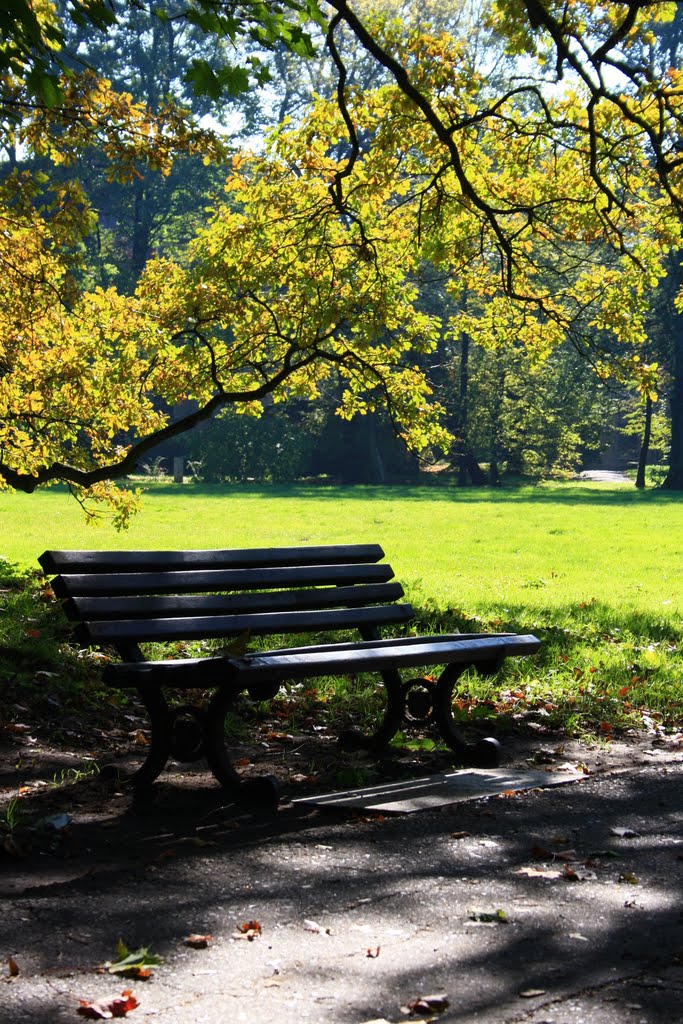 Autumn Bench by Daniel Bielecki