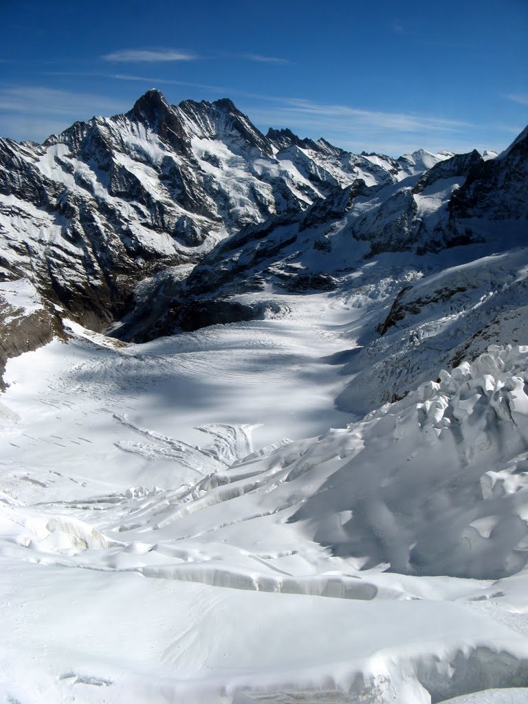 Vista dalla stazione Eismeer (mare di ghiaccio) della ferrovia dello Jungfraujoch by Claudio Pedrazzi