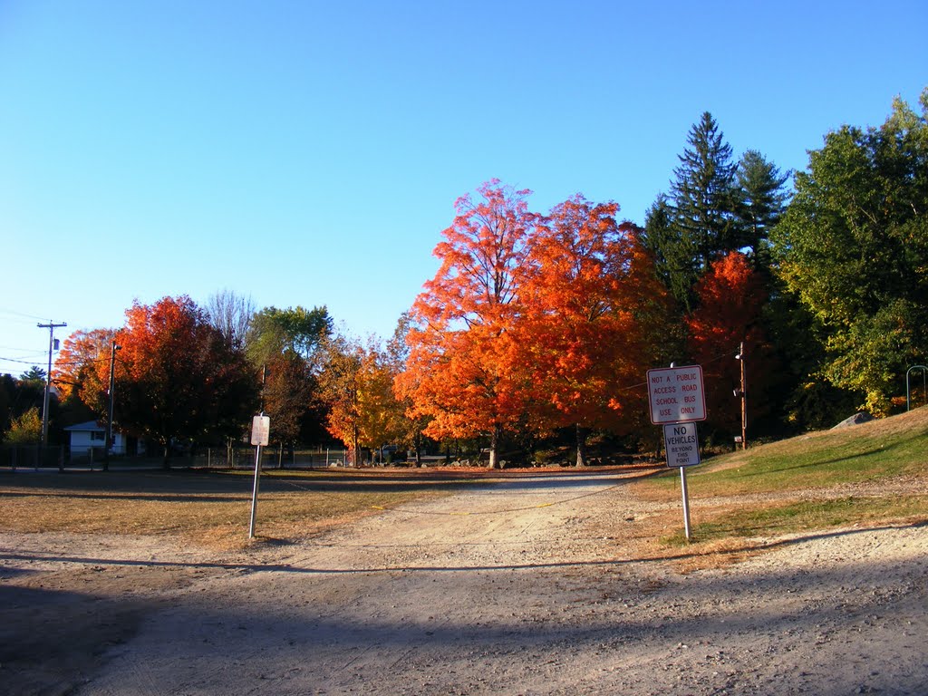 Duriung the Fall foliage festival the logging compitition was always down by those colorful Maples. by JB The Milker