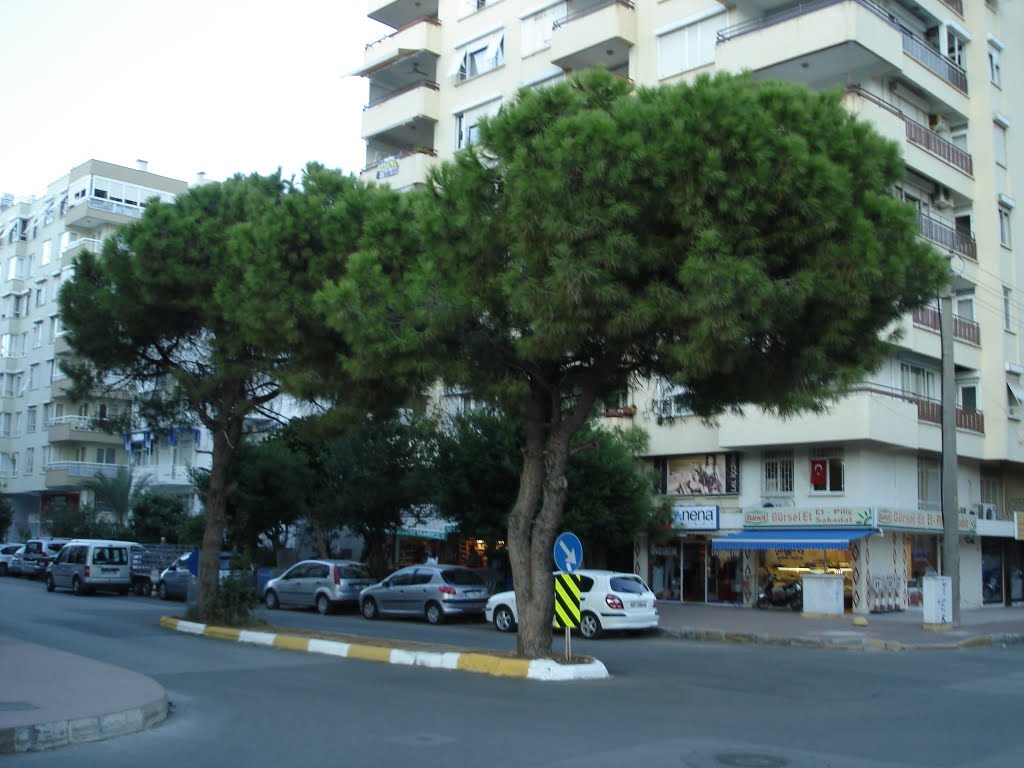 Antalya, Turkey by Antalyalı