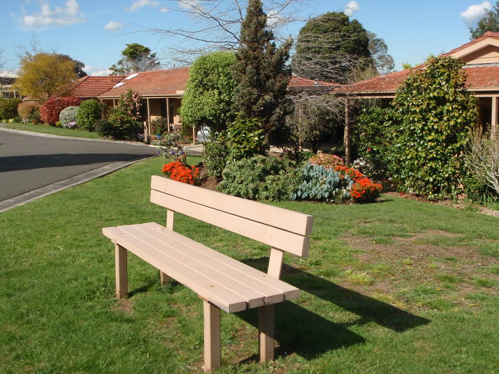 The bench by Jeanette_A