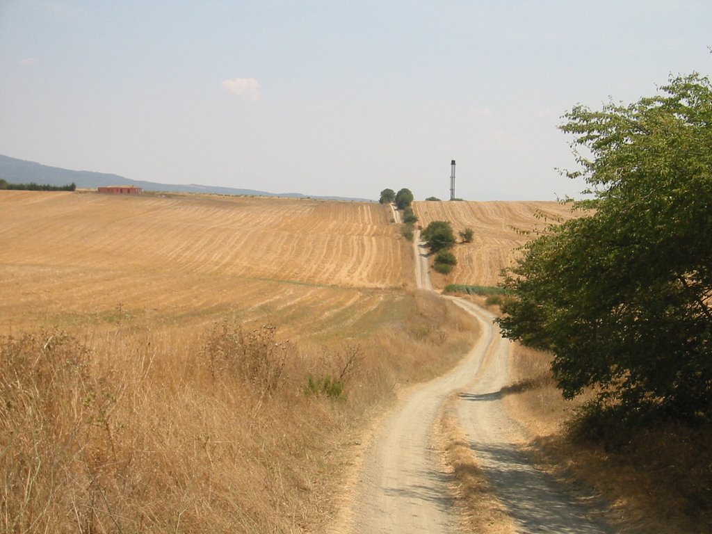 Paesaggio toscano 04 by dabe