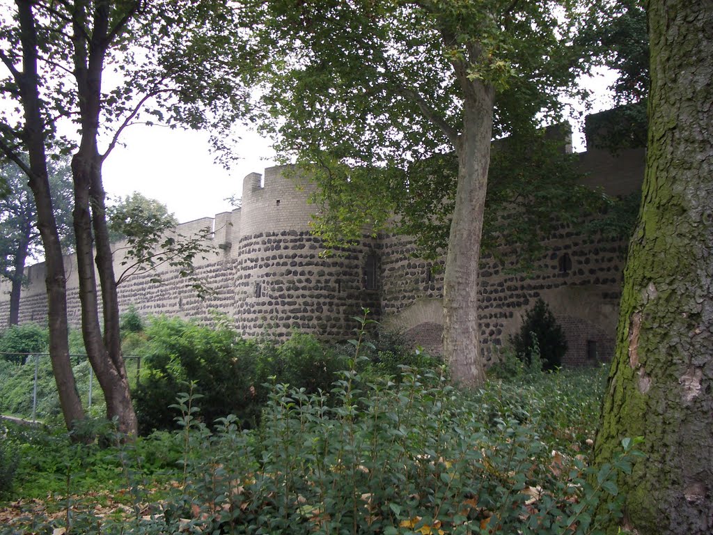 Köln-Altstadt-Nord, Cologne, Germany by Torben