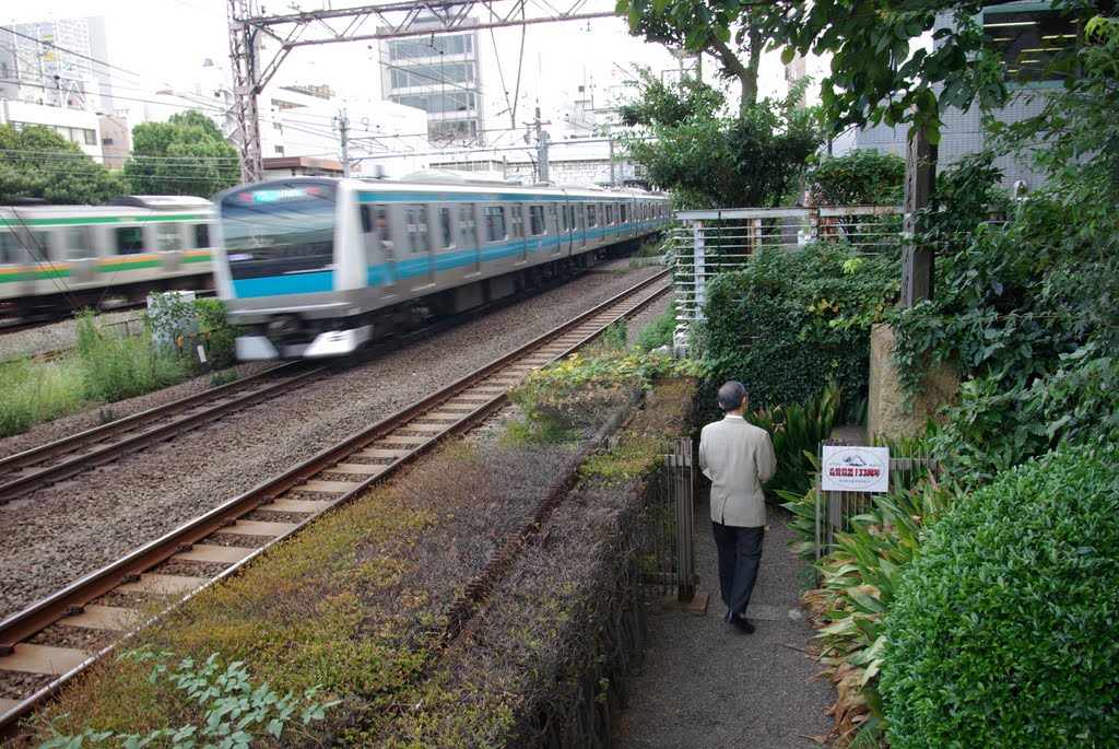 At Shell Mounds of Omori, Tokaido line(left), Keihin-Tohoku line, and a gentleman. 大田区NTTデータ隣の大森貝塚碑と東海道線、京浜東北線と、とある紳士 by LittleGray