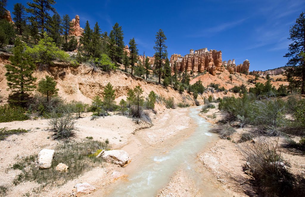 Garfield County, UT, USA by Thom Buys