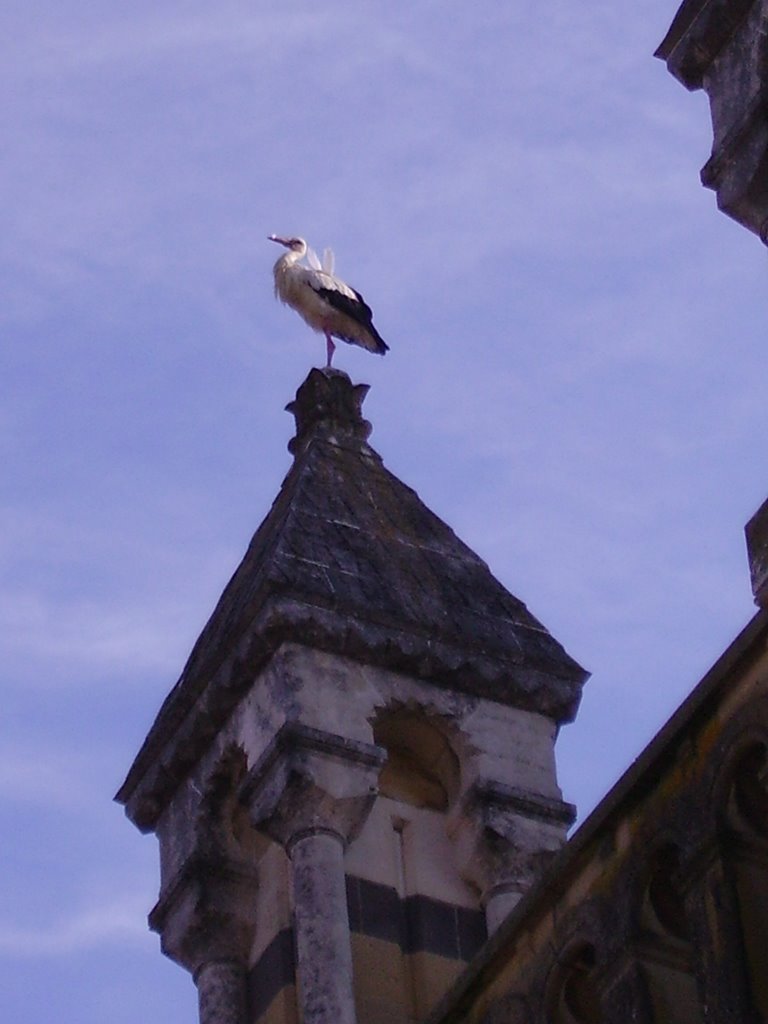 Cigogne sur l'église de Digoin by REVIN08