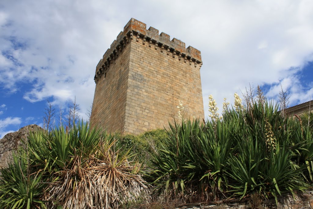 Torre Del Homenaje (Monforte De Lemos-Lugo) by laura&paula