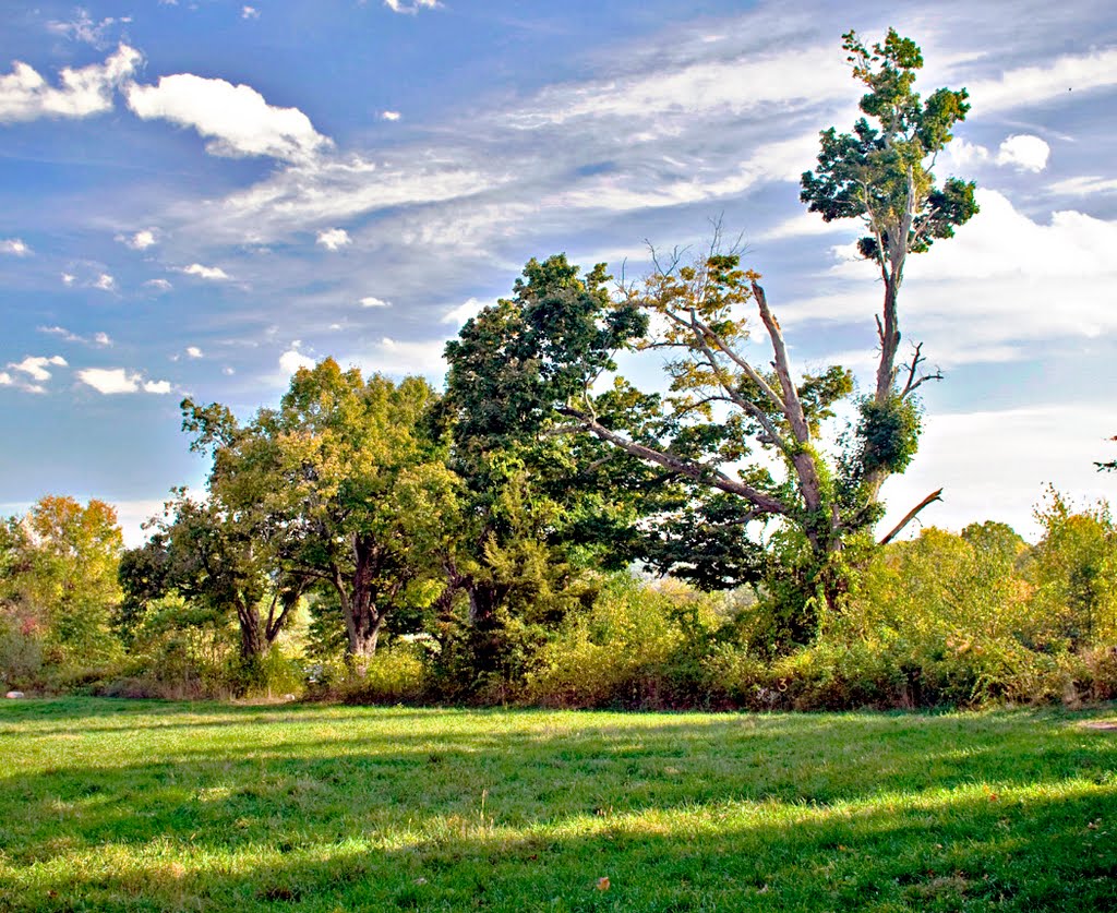 Community Gardens, high dynamic range image by Leon Malinofsky