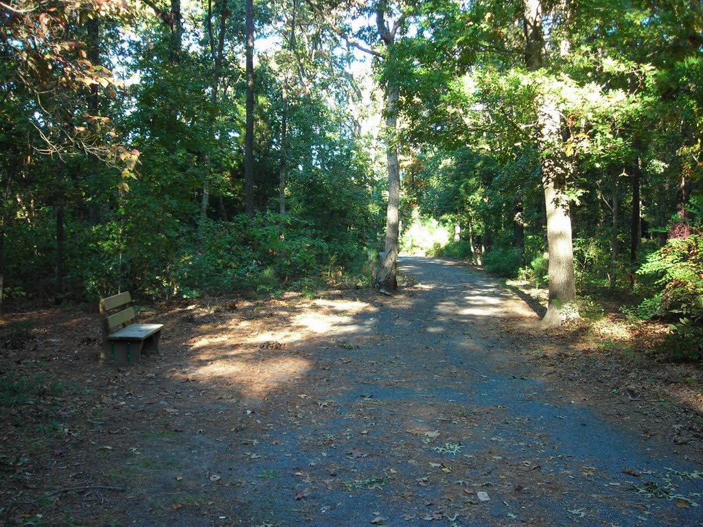 Junction and Breakwater Trail Near Wolfneck by N. W.