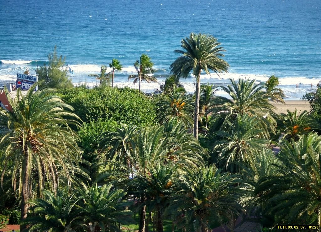 Der Blick über den Hotelgarten zum Meer. by H. Hönow