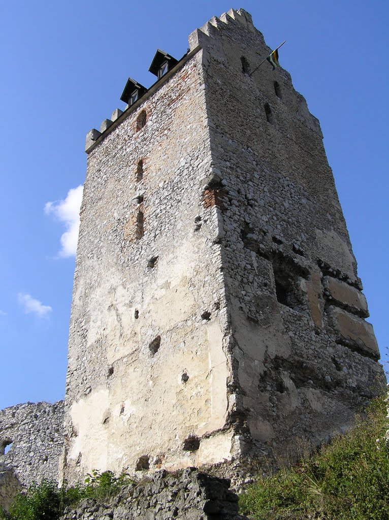 Hrad Topolčany, Podhradie by Jozef Fábry