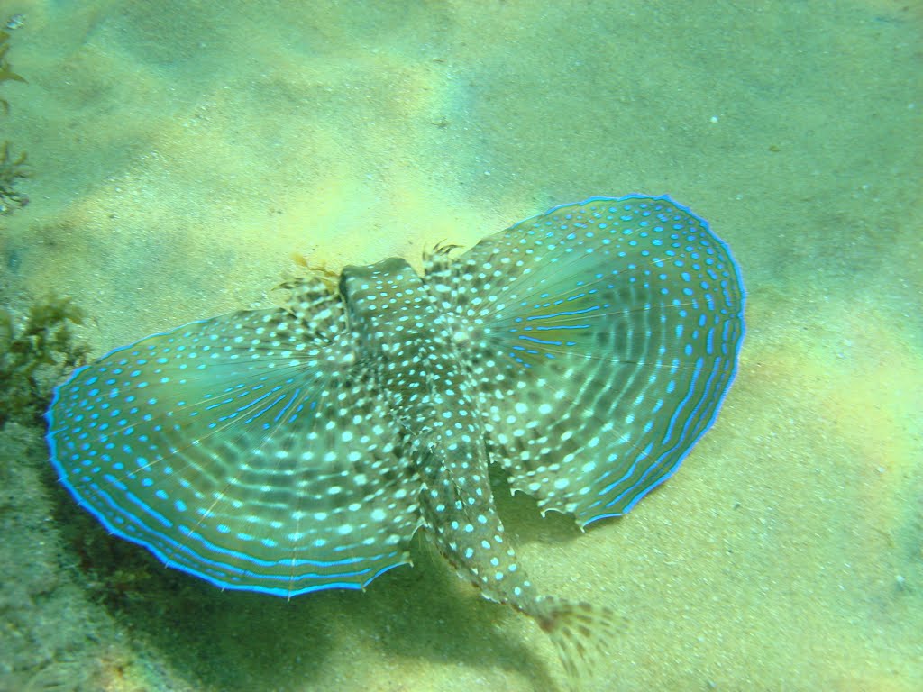 Unnamed Road - Praia Vermelha da Ilha Grande, Angra dos Reis - RJ, Brazil by Leandro Leme Neto