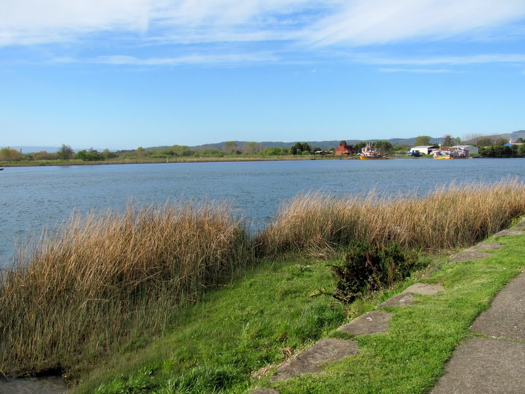 Río Valdivia by aleMamá