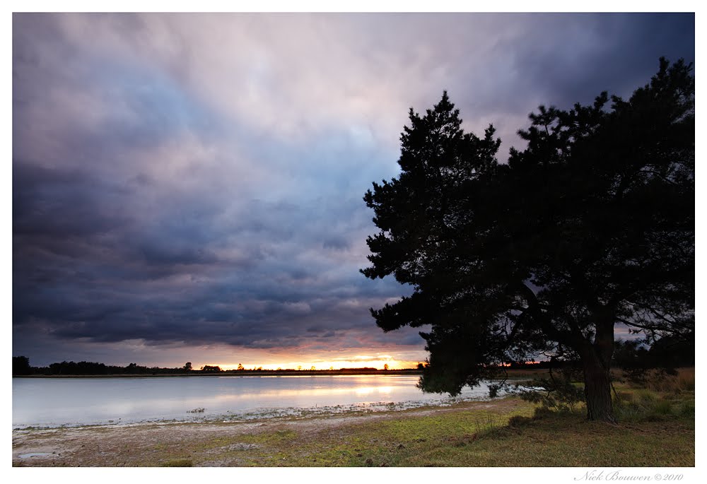 Strabrechtsche Heide - Starven by Niek Bouwen