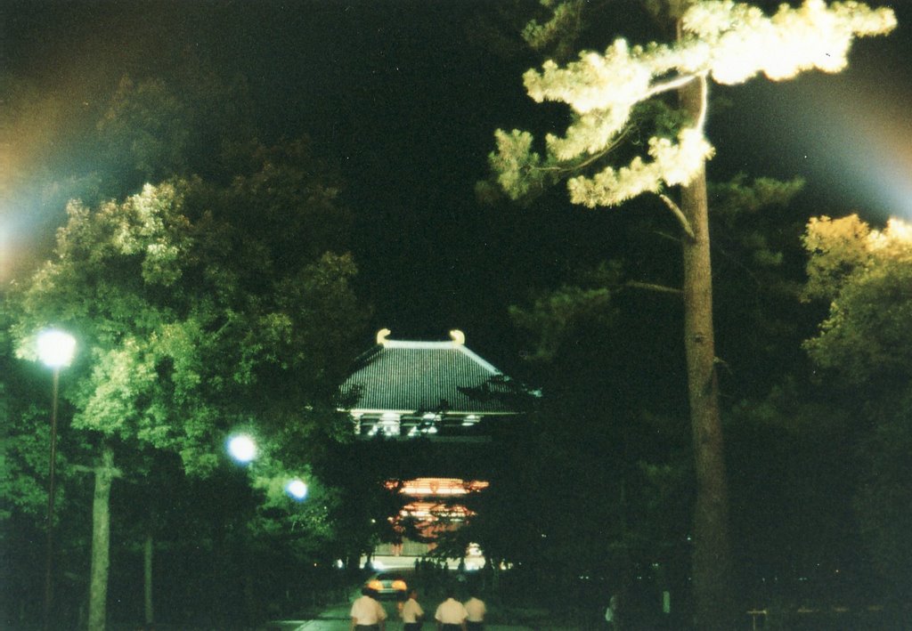 Todaiji Temple by higashiyama