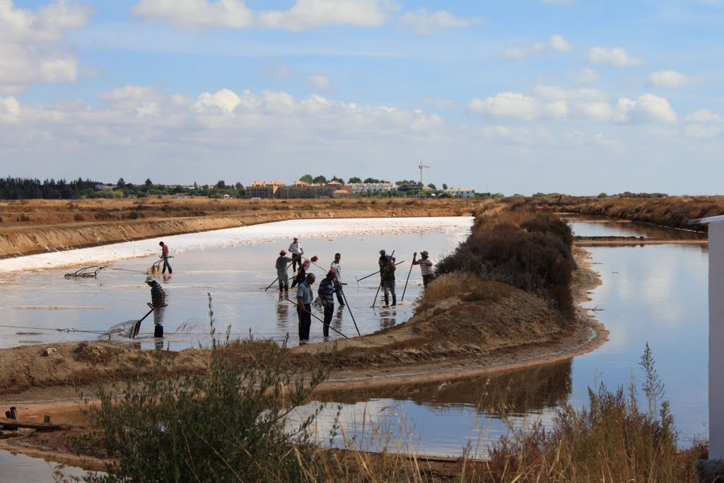 Salinas de Tavira by silrui