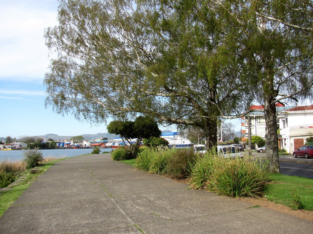 Costanera de Valdivia by aleMamá