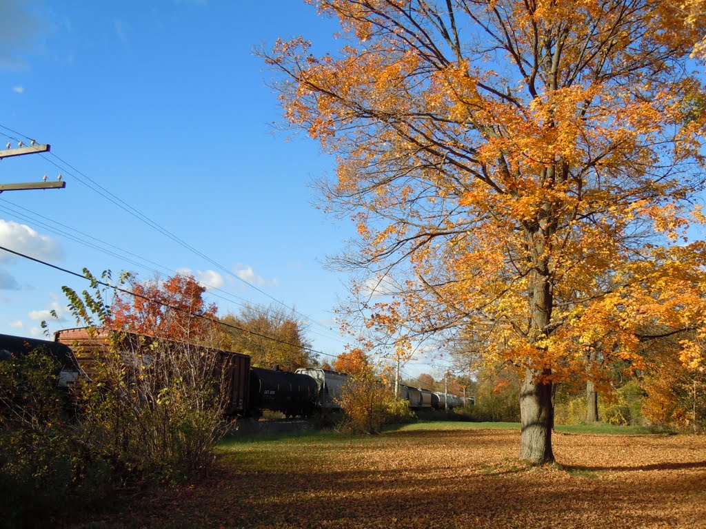 Railway to Detroit by plumgarden