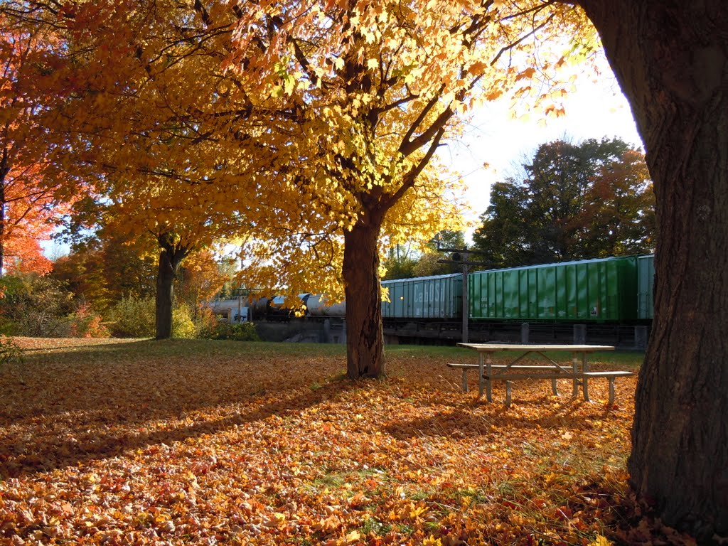 Railway to Lansing by plumgarden