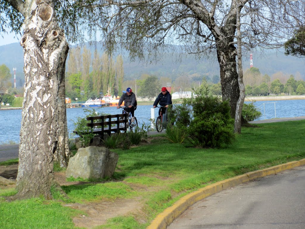 En bicicleta también se puede gozar del bello día by aleMamá