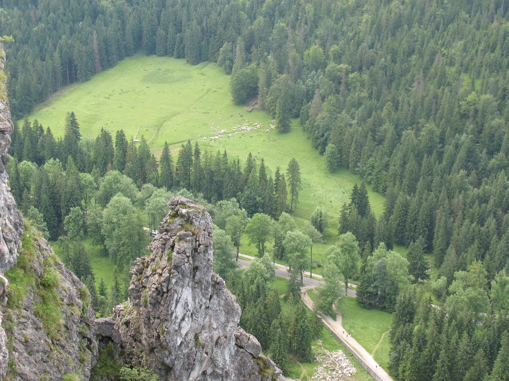 Kuźnicka Polana - widok ze szlaku na Nosal by aaa interiapl