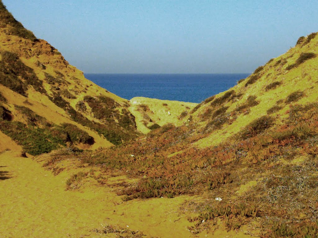 Israel National Trail, Herzliya, Israel by ‫ליאורה ספיר‬‎