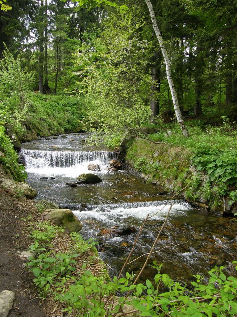 Kaskády Bílé Opavy (Cascades of the White Opava), 1 by Magdalena Hudranová