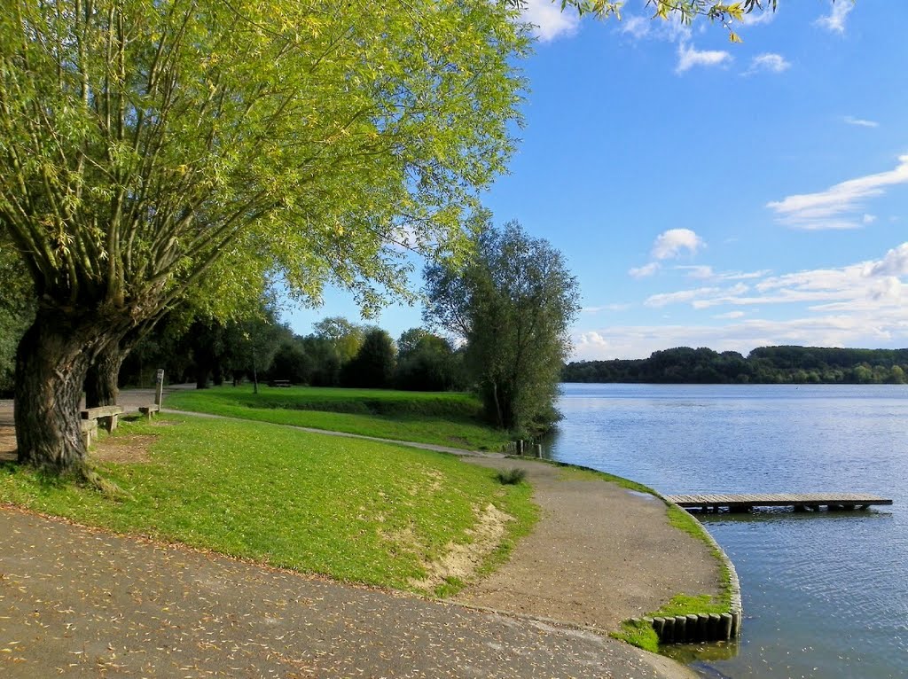 Villeneuve d'ascq - Lac du Héron - Ponton des véliplanchistes by epaulard59