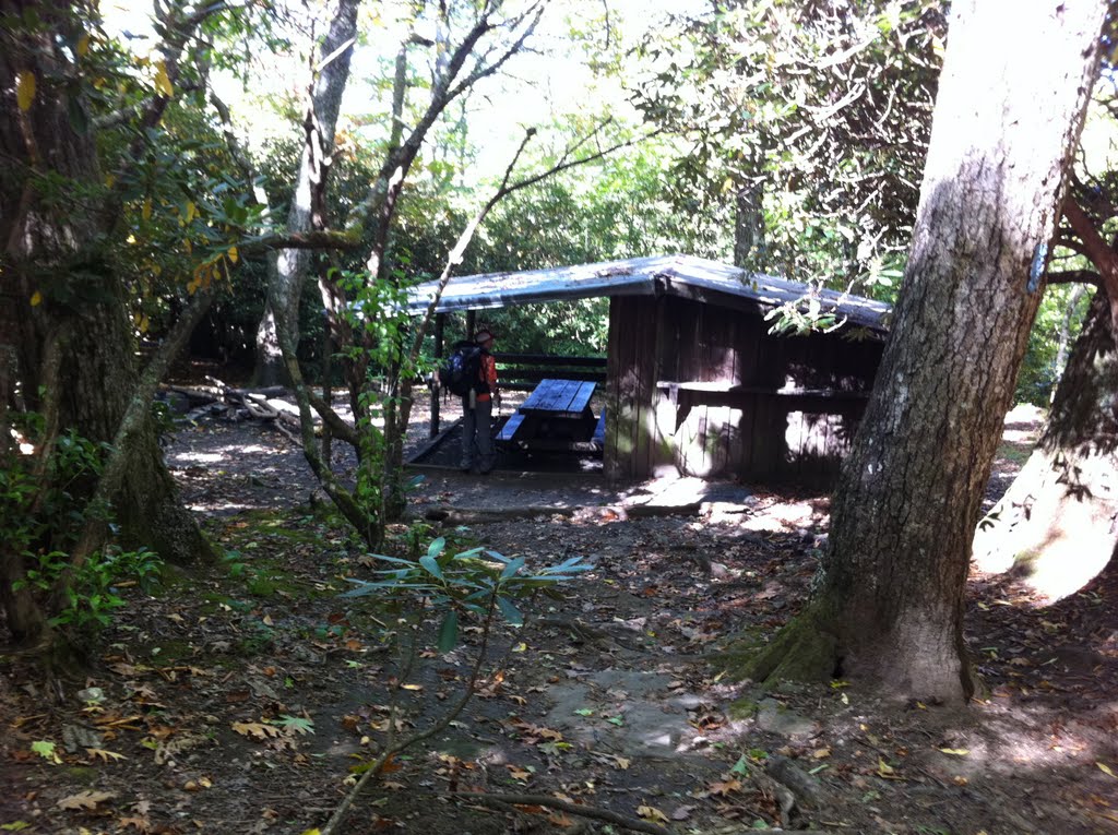 Big Springs Gap Shelter by kurtisk