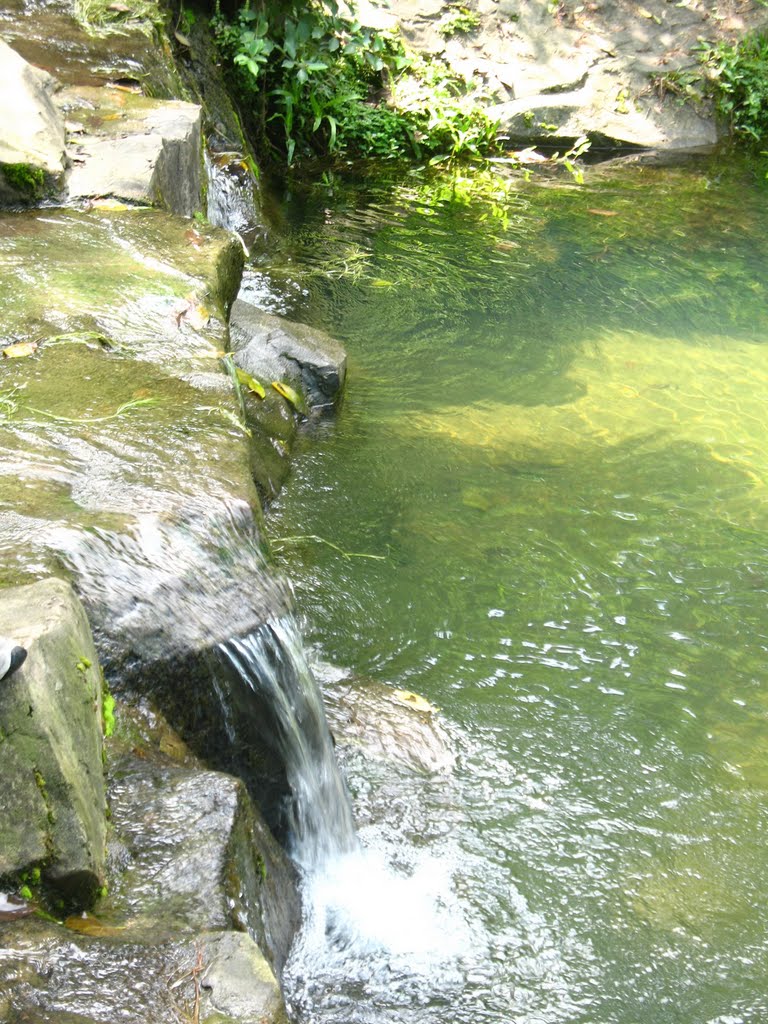 Peach Blossom Stream - Stream  桃花澗-溪流 by Wencheng Yan