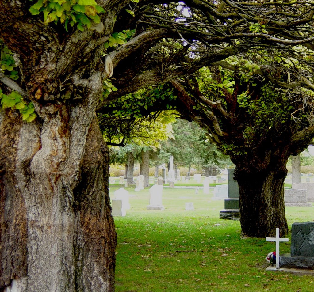 Brigham City cemetery by LAEP Grad