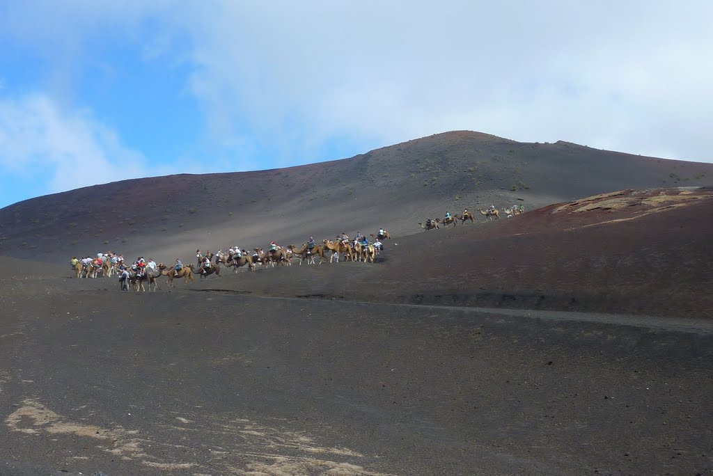 En camello por Timanfaya by blas.croche