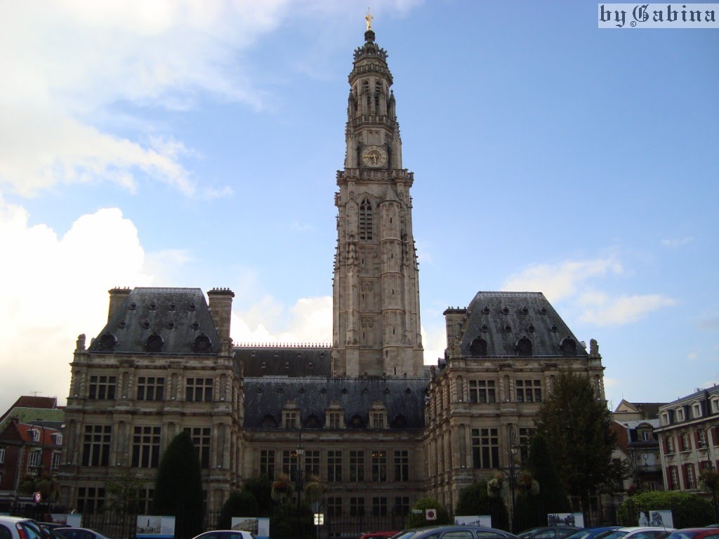 The town hall and its belfry by Gabriele Bernardi