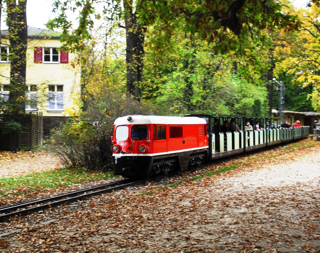 Parkeisenbahn bei der Ausfahrt Bahnhof Carolasee by Sonnimaus