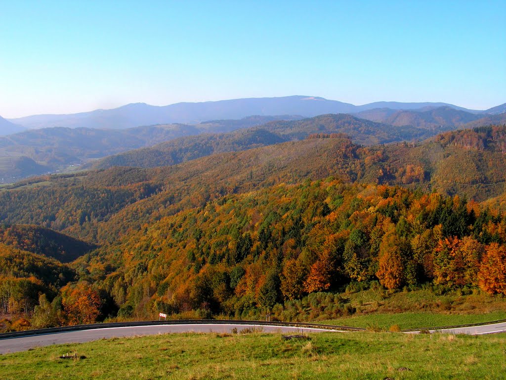 Dobšiná, lesy.Jeseň 9.10.2010 by Pellionis-dobsincan