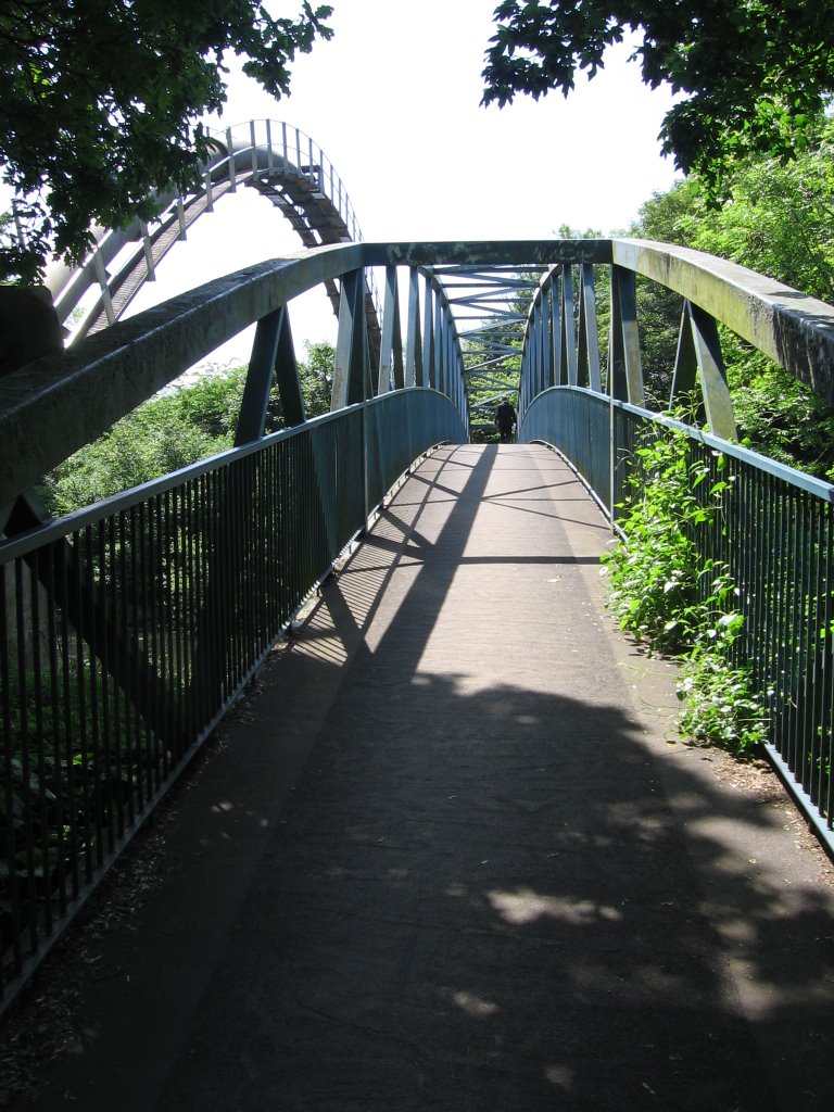 Bridge perspective by mannetjes